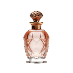 81678098_Luxury perfume bottle -10 (1)